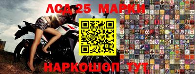 прущие грибы Северобайкальск