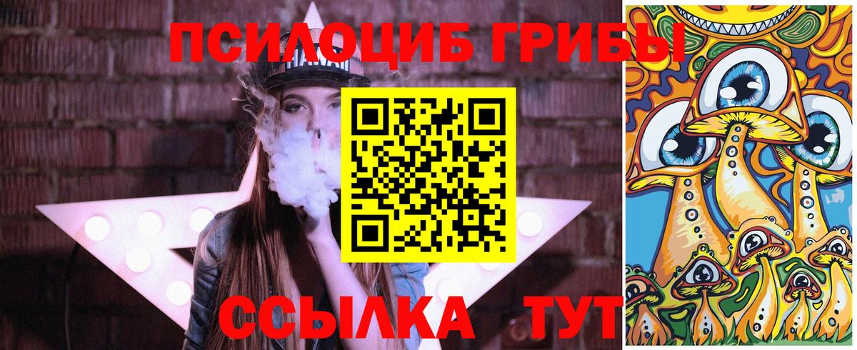 Новокубанск  Галлюциногенные грибы Psilocybine cubensis  Вход с VPN 