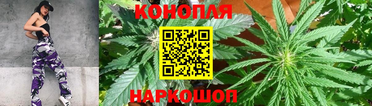 Каннабис конопля Новокубанск
